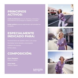 Champú Matizador Antiamarillos Violeta Silver Global Blonde 330 ml | K89 - Imagen 2