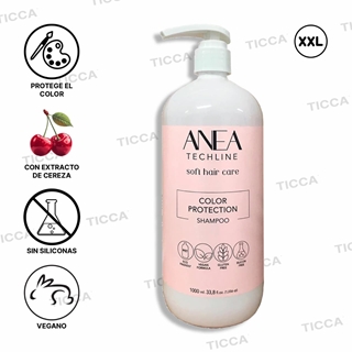 CHAMPU DE MANTENIMIENTO DEL COLOR "COLOR PROTECTION" 1000ml | ANEA - Imagen 1